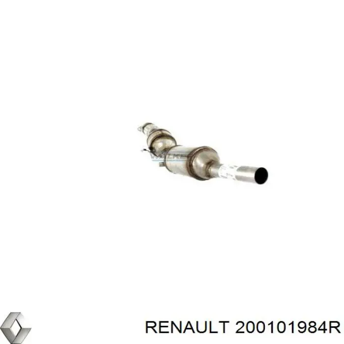 Comprar 200101984R Renault (RVI) Filtro de partículas (FAP)