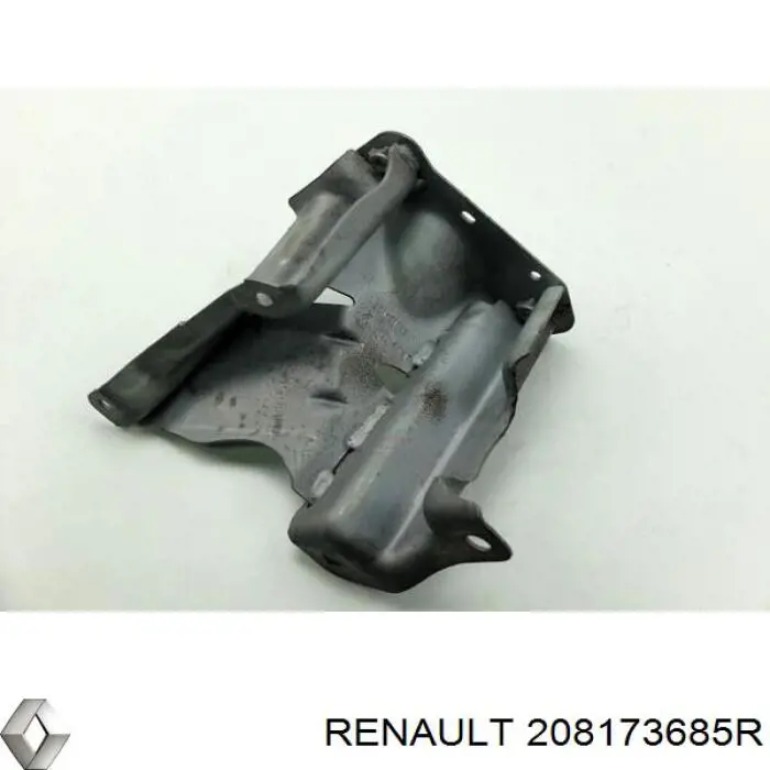 208173685R Renault (RVI)