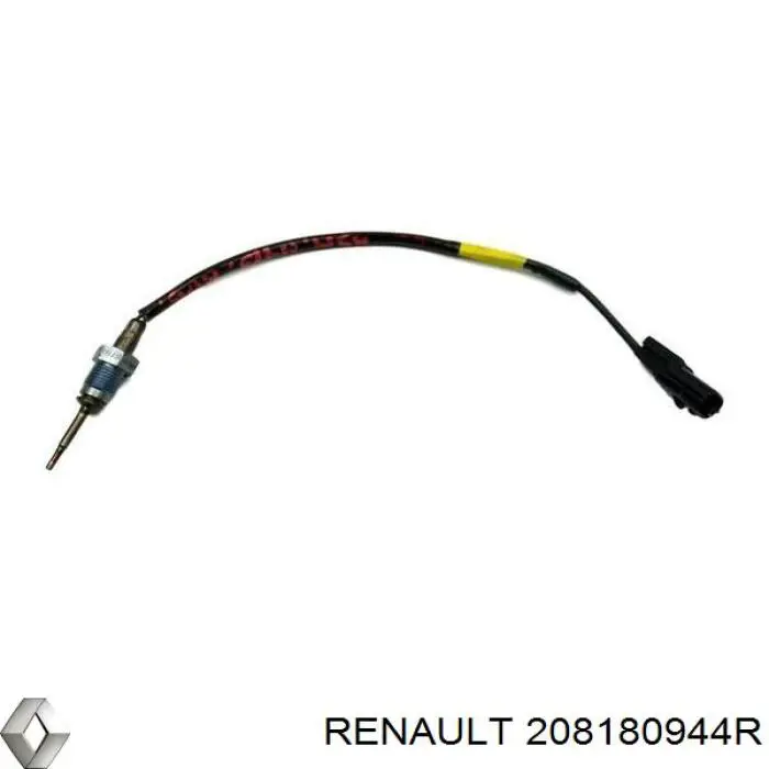 208180944R Renault (RVI) 