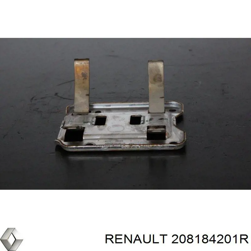 208184201R Renault (RVI)