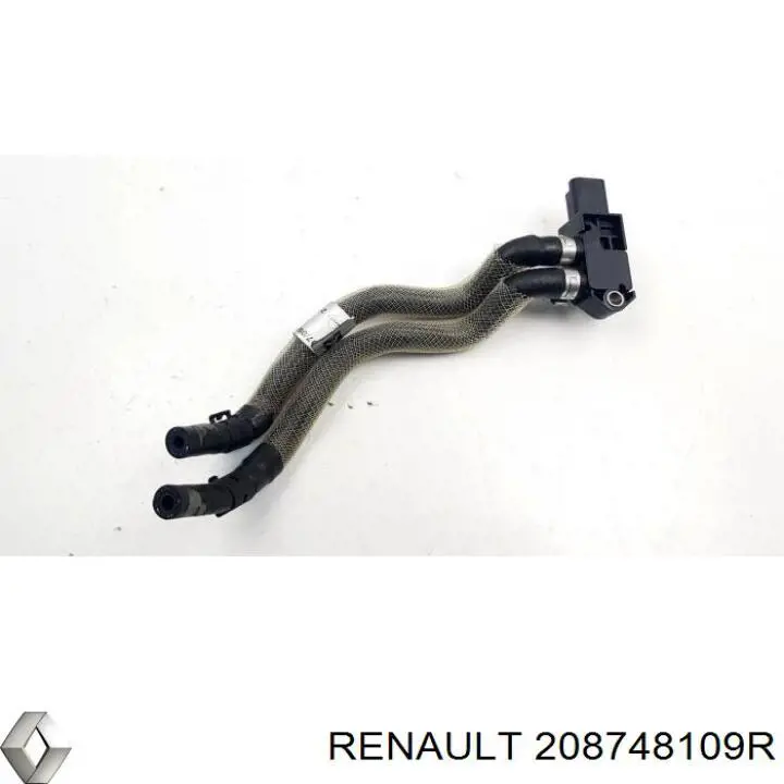 208748109R Renault (RVI)