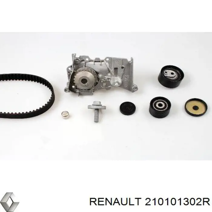 Bombeadora de agua Renault (RVI) 210101302R precio, desde 35,36 EUR