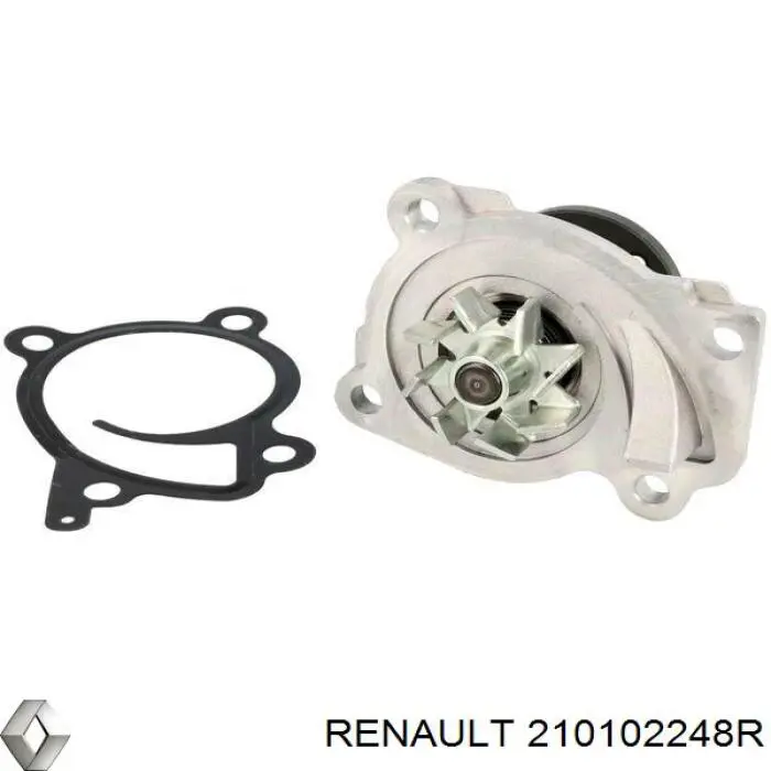 Bombeadora de agua Renault (RVI) 210102248R precio, desde 51,44 EUR