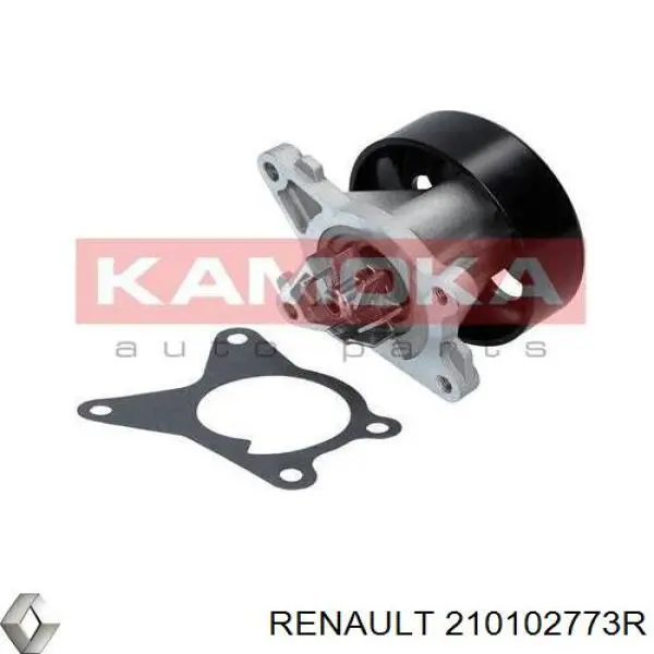 Bombeadora de agua Renault (RVI) 210102773R precio, desde 36,29 EUR