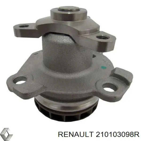 Bombeadora de agua Renault (RVI) 210103098R precio, desde 42,11 EUR