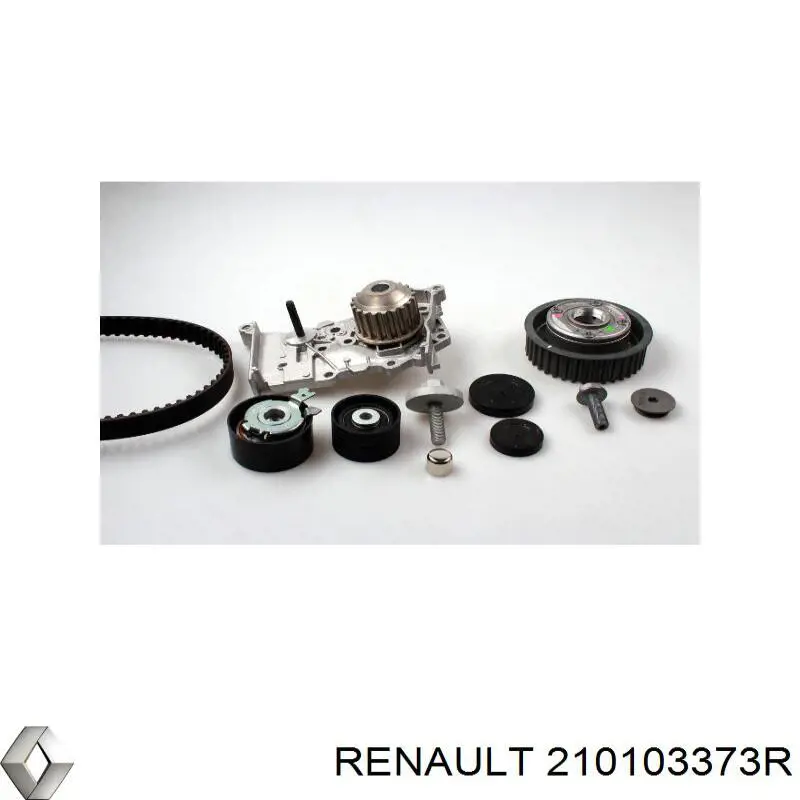  Renault (RVI) 210103373R precio, desde 34,66 EUR
