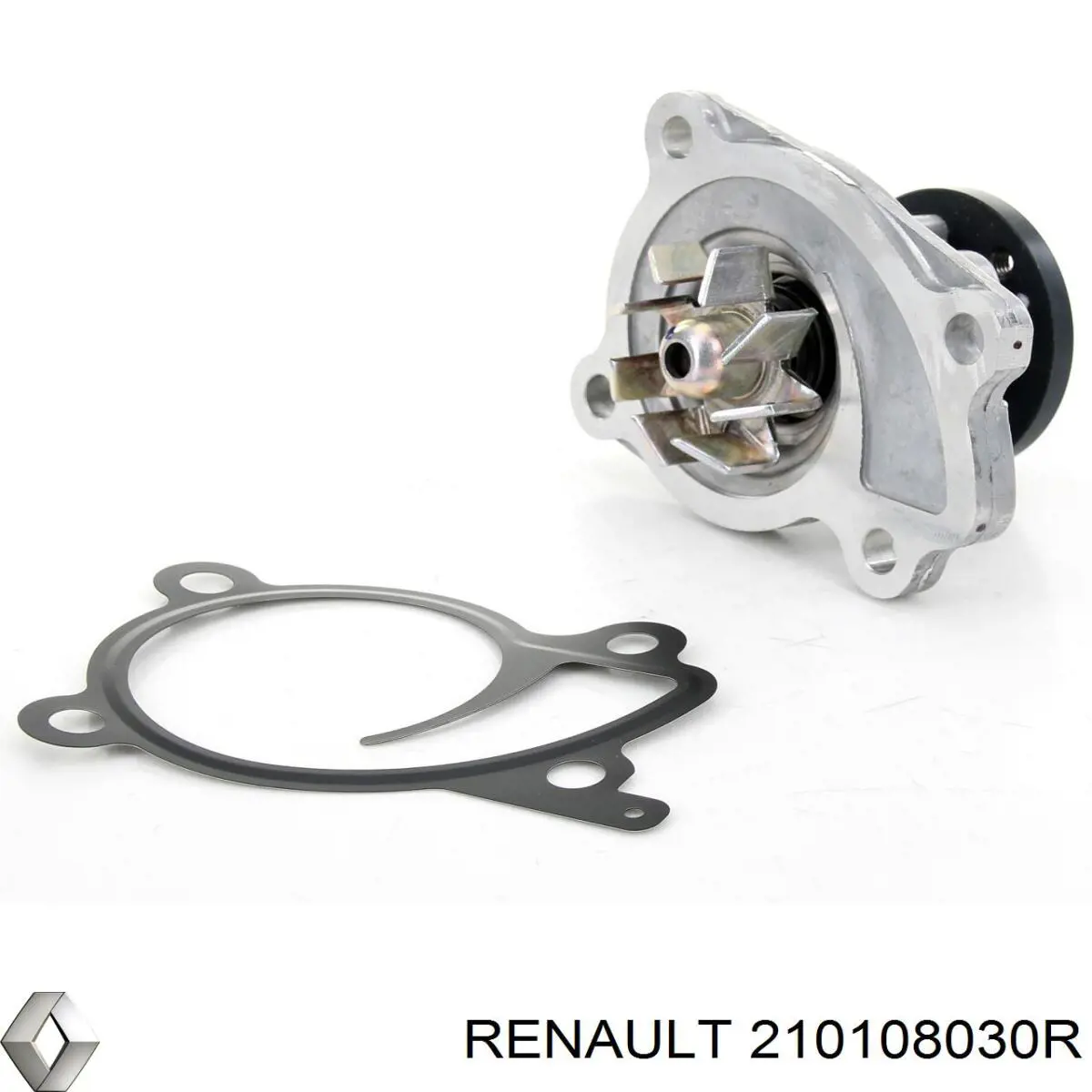 Bomba de agua 210108030R Renault (RVI)