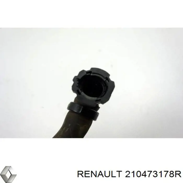 210473178R Renault (RVI)