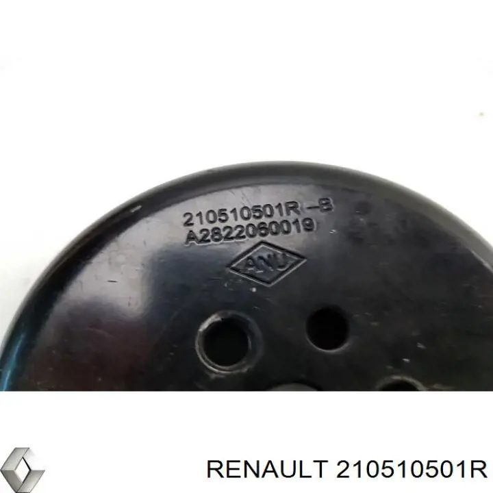 210510501R Renault (RVI)