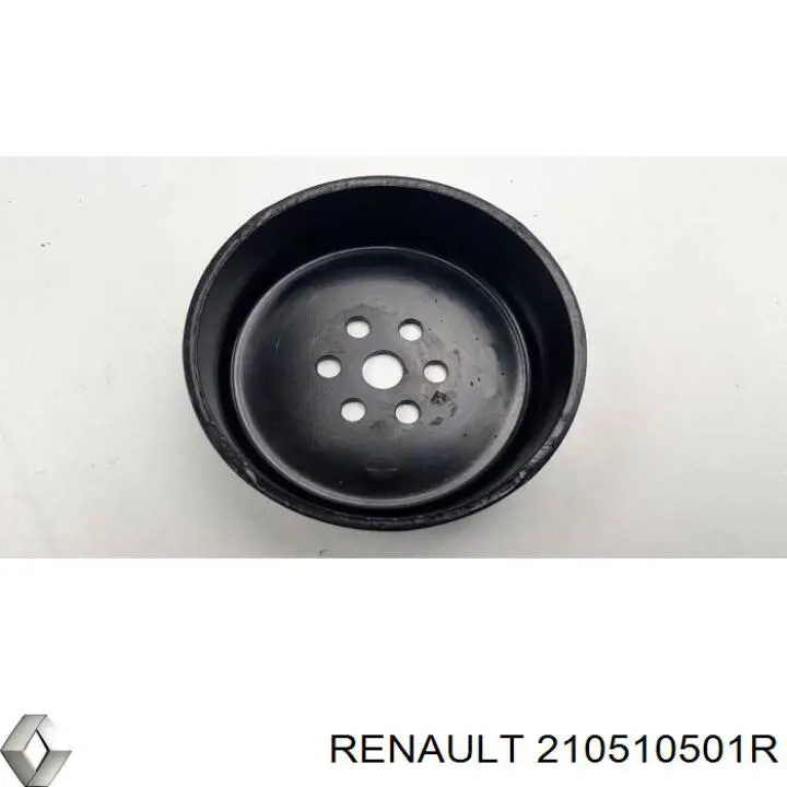 Polea de la bomba de agua Renault (RVI) 210510501R precio, desde 86,29 EUR