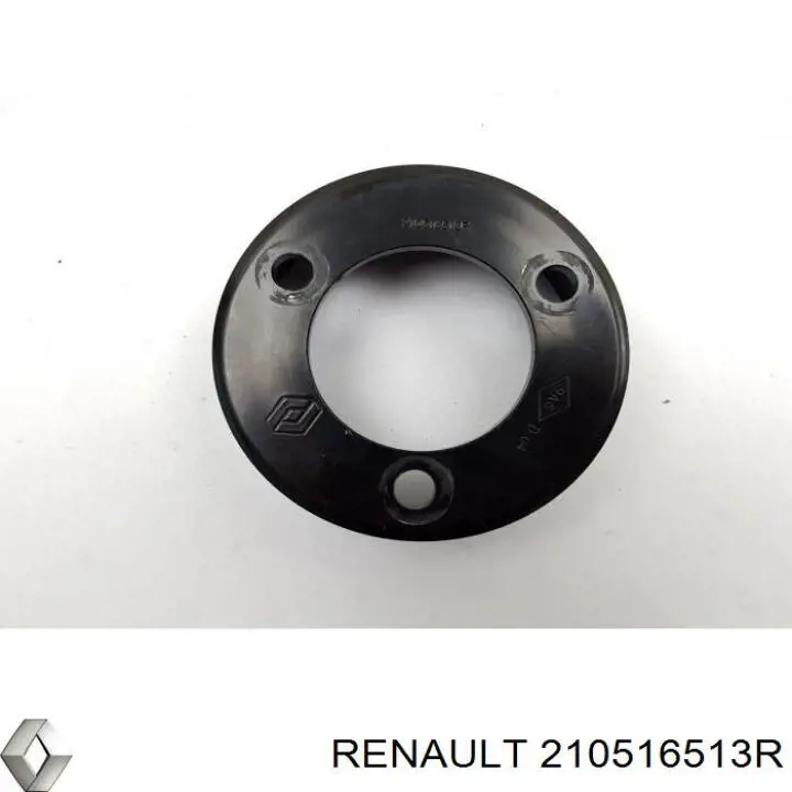  Renault (RVI) 210516513R precio, desde 40,69 EUR