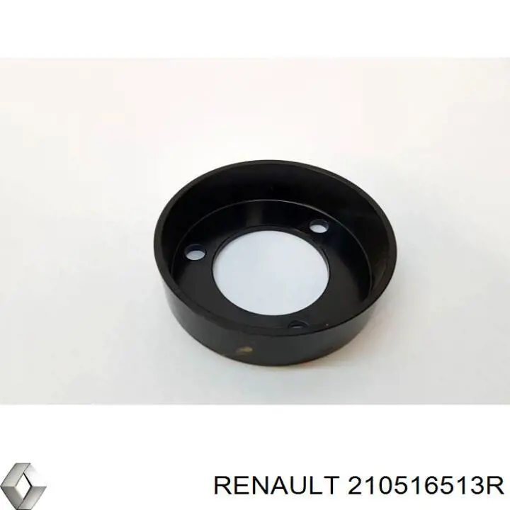 210516513R Renault (RVI) 