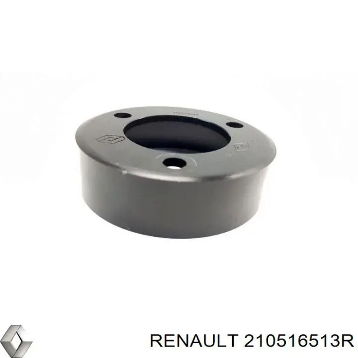 Comprar 210516513R Renault (RVI) 