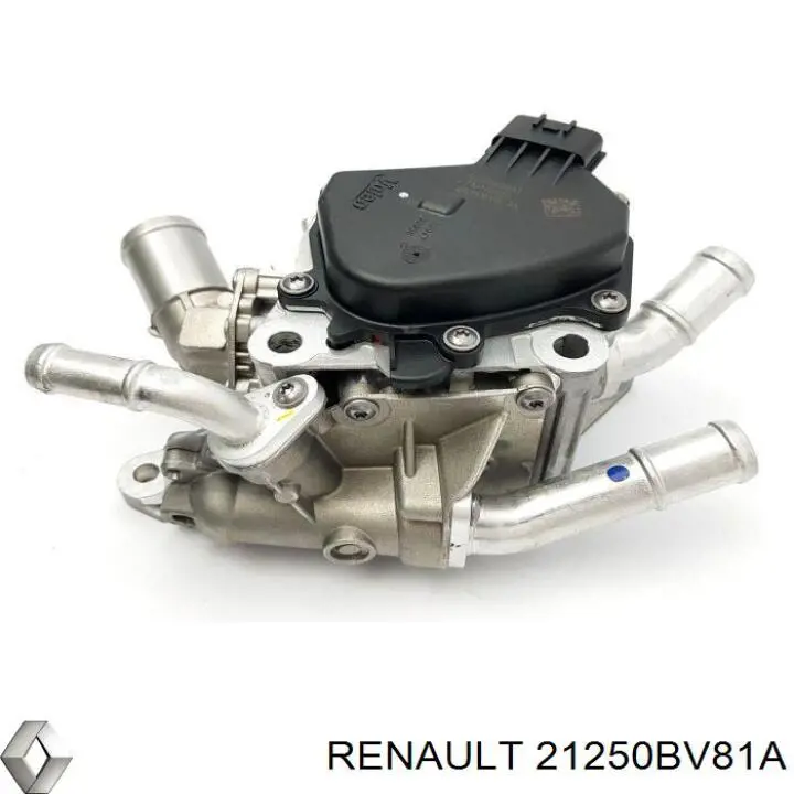 21250BV81A Renault (RVI)