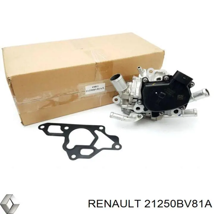Comprar 21250BV81A Renault (RVI) Termostato