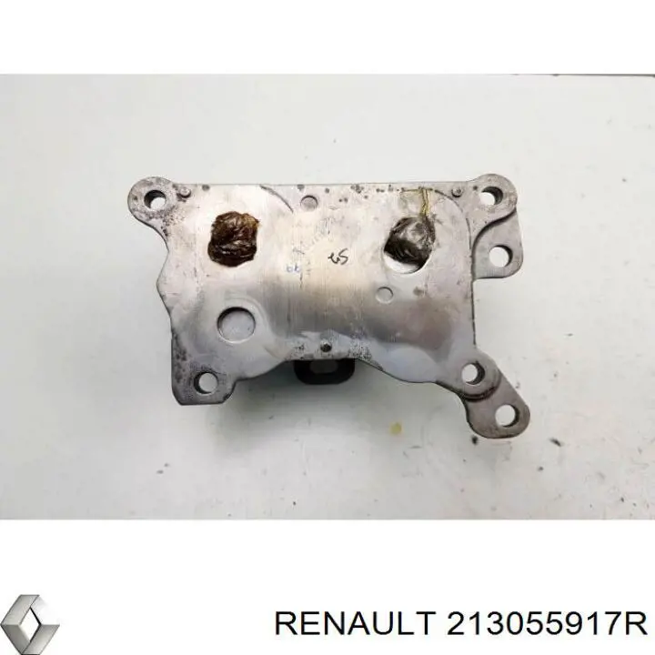 213055917R Renault (RVI) Radiador de aceite