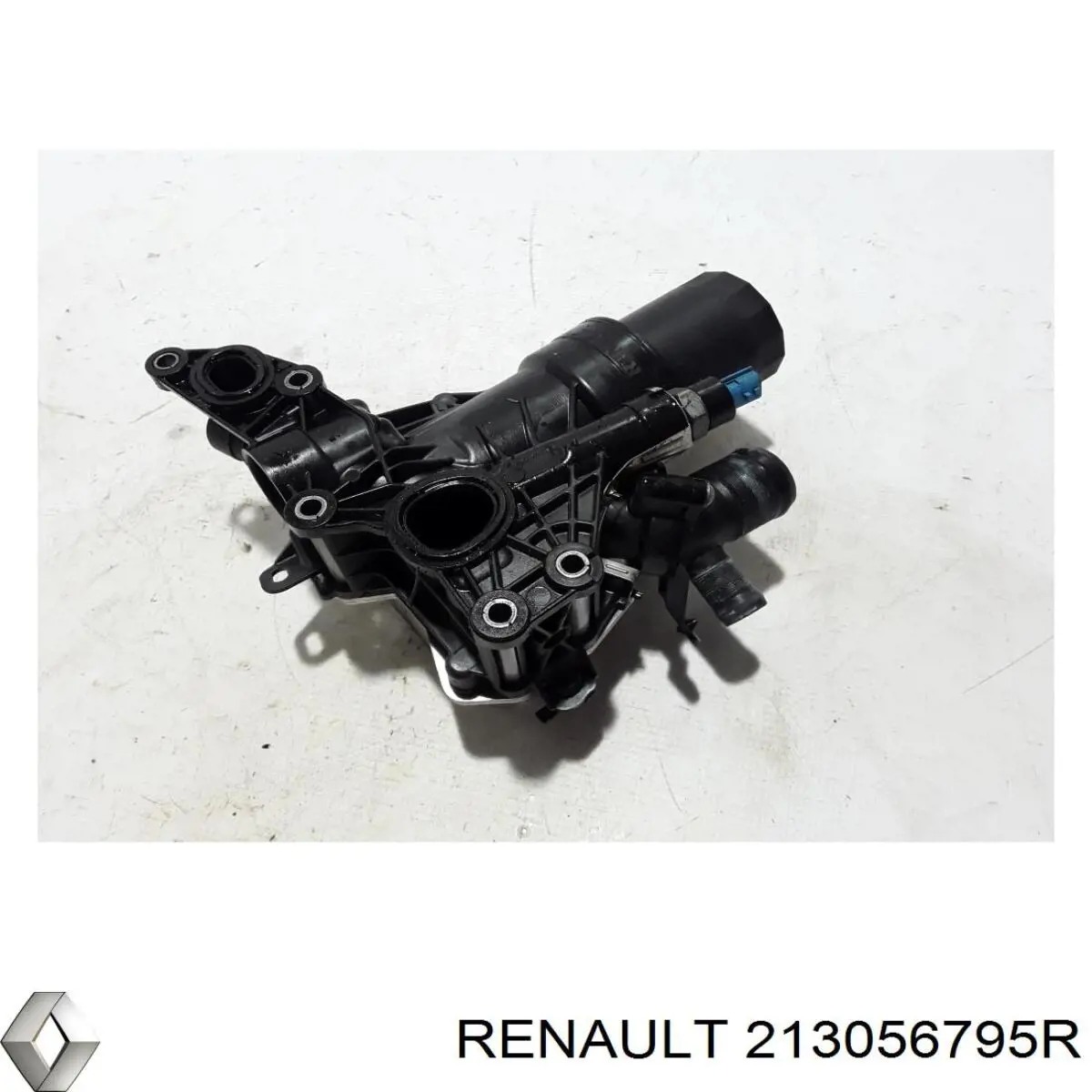 Radiador de aceite Renault (RVI) 213056795R precio, desde 64,96 EUR