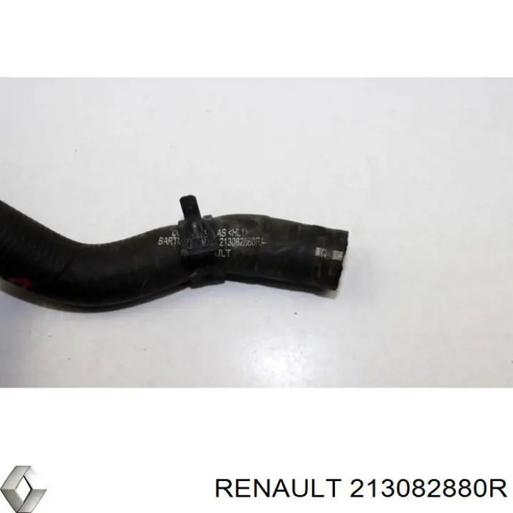 213082880R Renault (RVI)