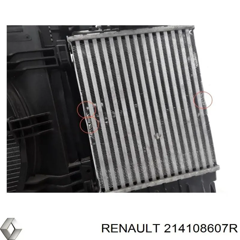 Radiador 214108607R Renault (RVI)