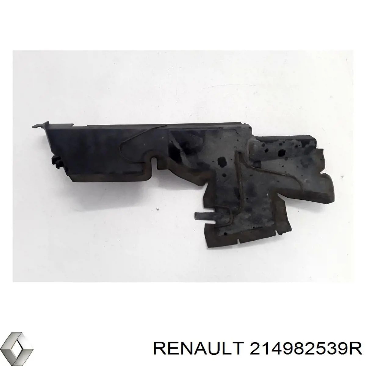 214982539R Renault (RVI)