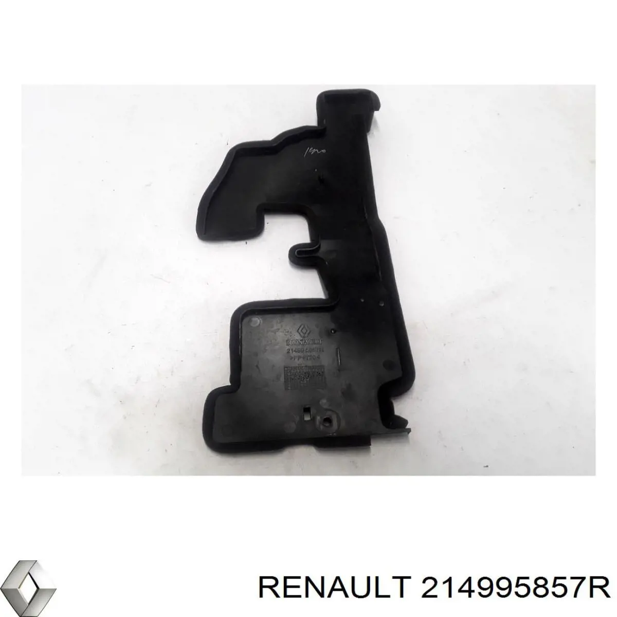 214995857R Renault (RVI)