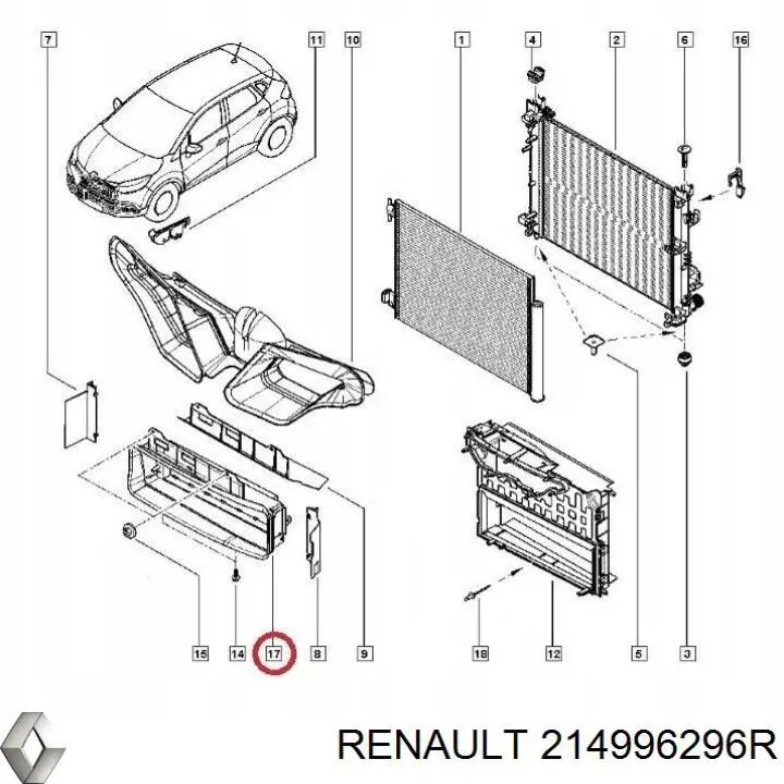 214996296R Renault (RVI)