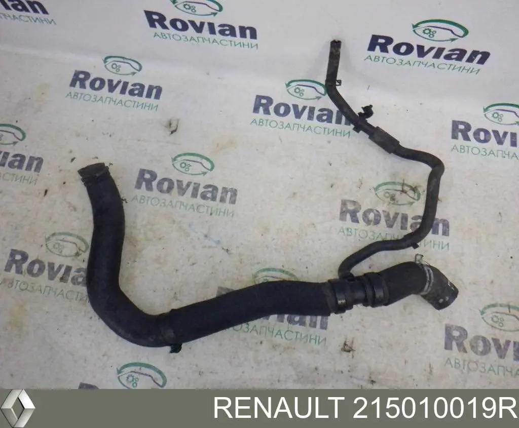 Manguera inferior del radiador Renault (RVI) 215010019R precio, desde 35,59 EUR