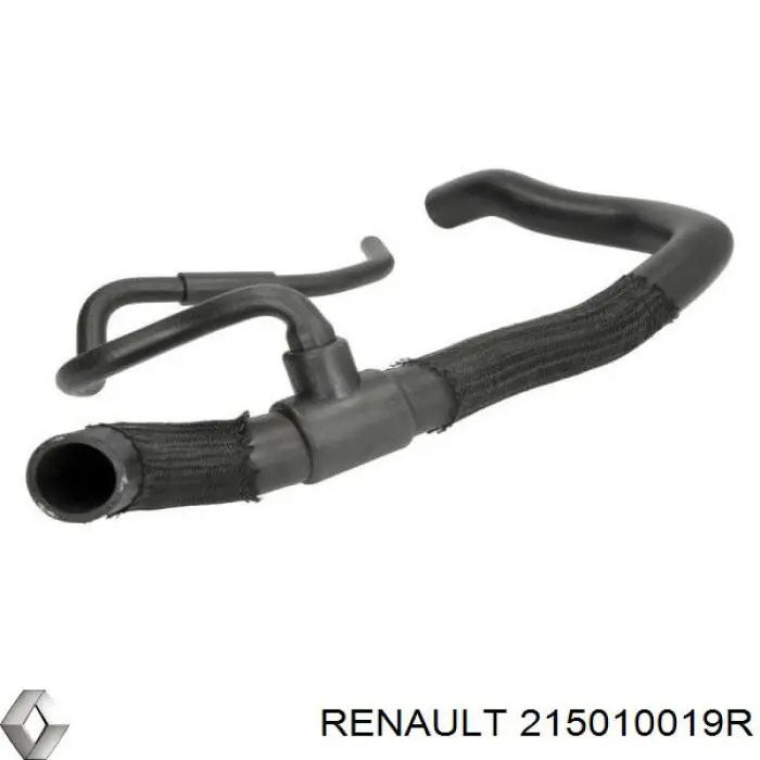 215010019R Renault (RVI)