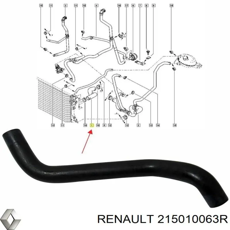 Manguera de radiador arriba Renault Master 3 (EV, HV, UV)