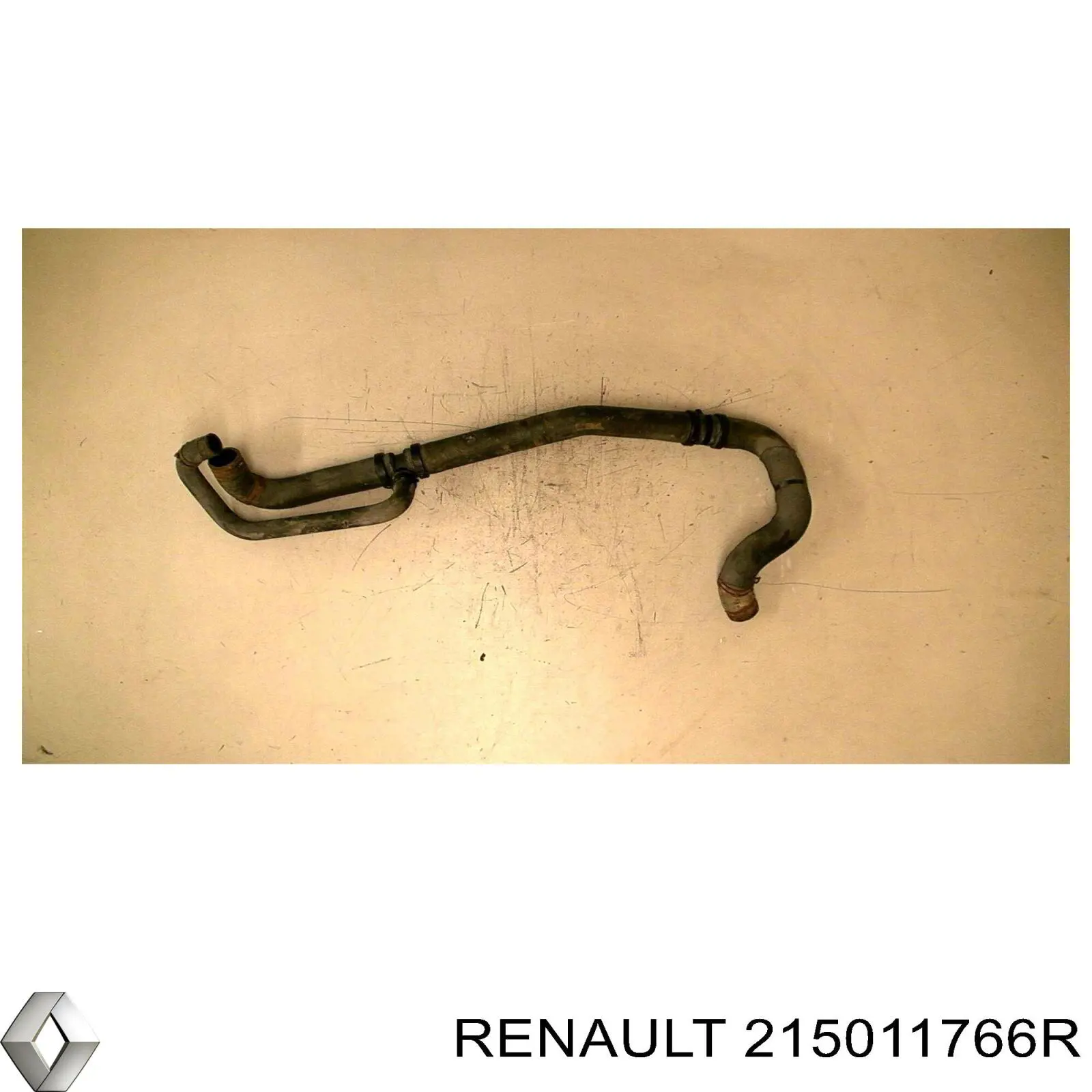 Manguera superior del radiador Renault (RVI) 215011766R precio, desde 76,09 EUR