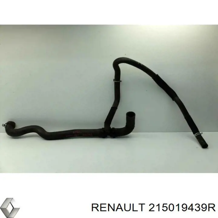 Manguera inferior del radiador Renault (RVI) 215019439R precio, desde 45,54 EUR