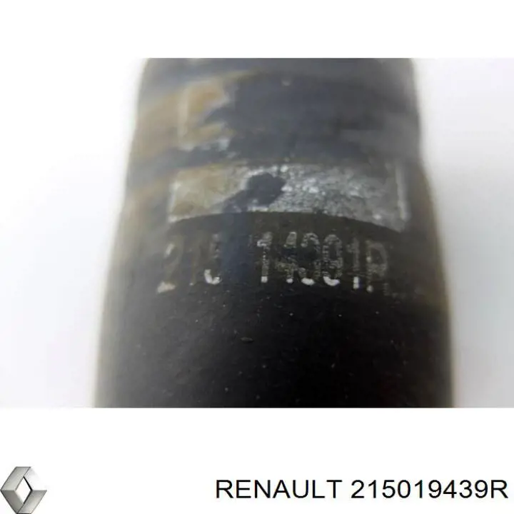 215019439R Renault (RVI)