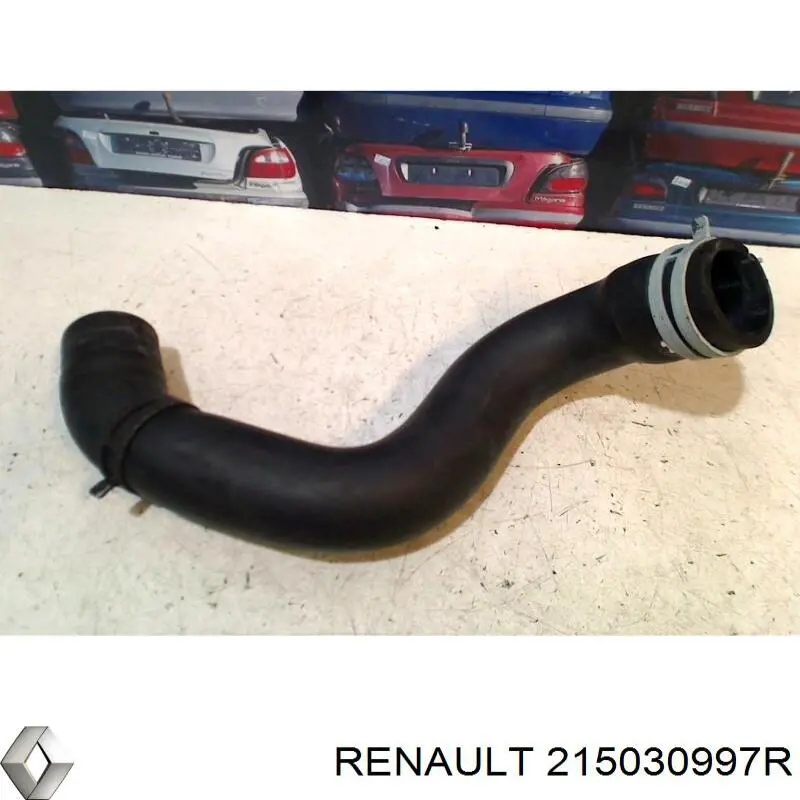 Manguera superior del radiador Renault (RVI) 215030997R precio, desde 25,35 EUR