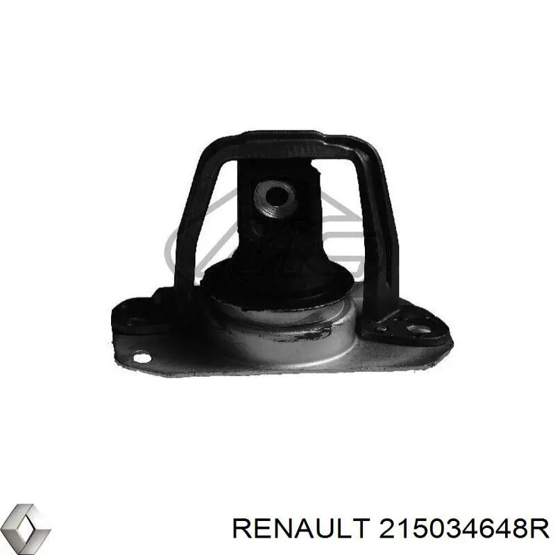 215034648R Renault (RVI) manguera refrigerante para radiador inferiora