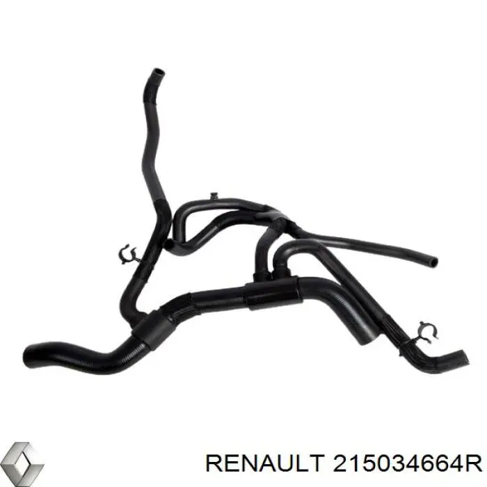 215034664R Renault (RVI) manguera refrigerante para radiador inferiora