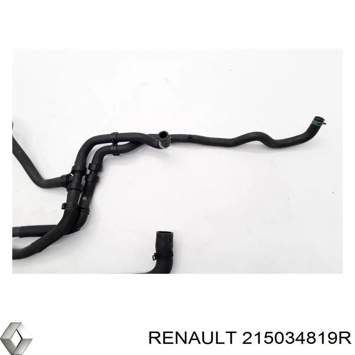 215034819R Renault (RVI)