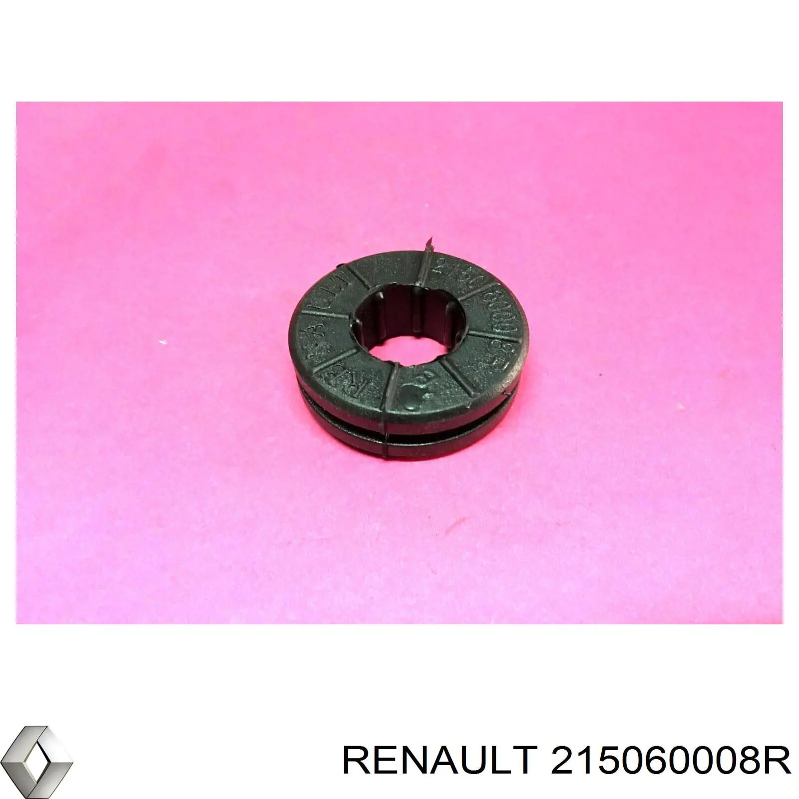 215060008R Renault (RVI)