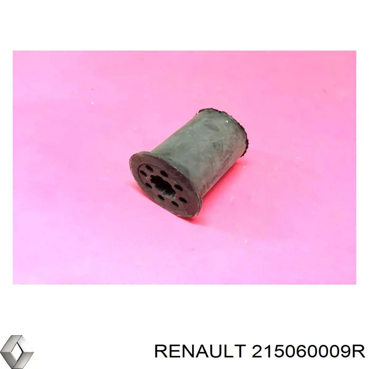 215060009R Renault (RVI)