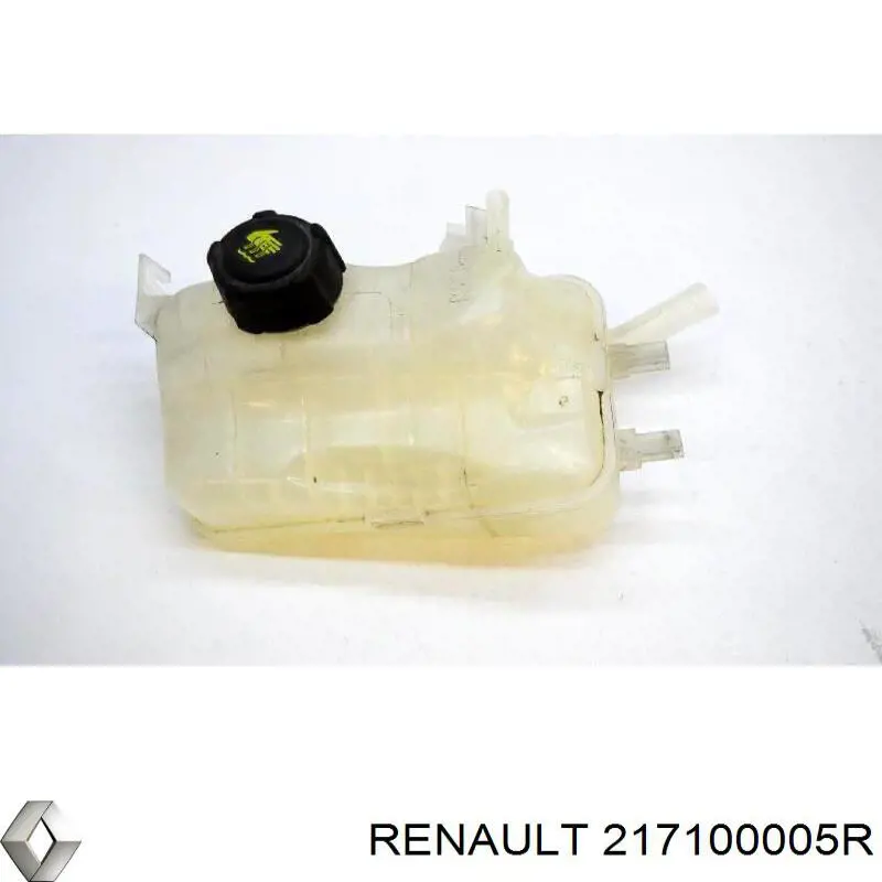 Comprar 217100005R Renault (RVI) Deposito expansion