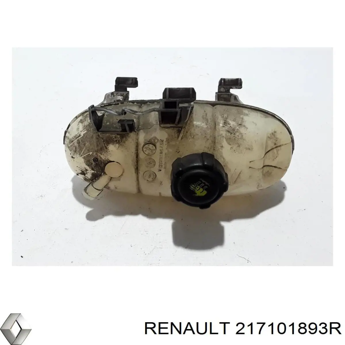 217101893R Renault (RVI)