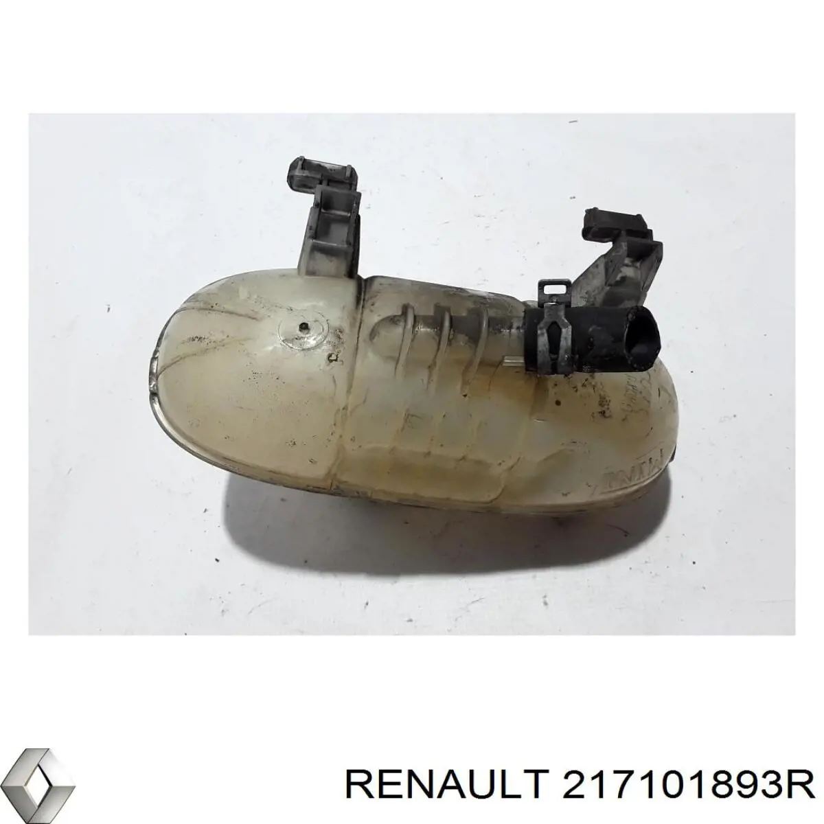 217101893R Renault (RVI) 