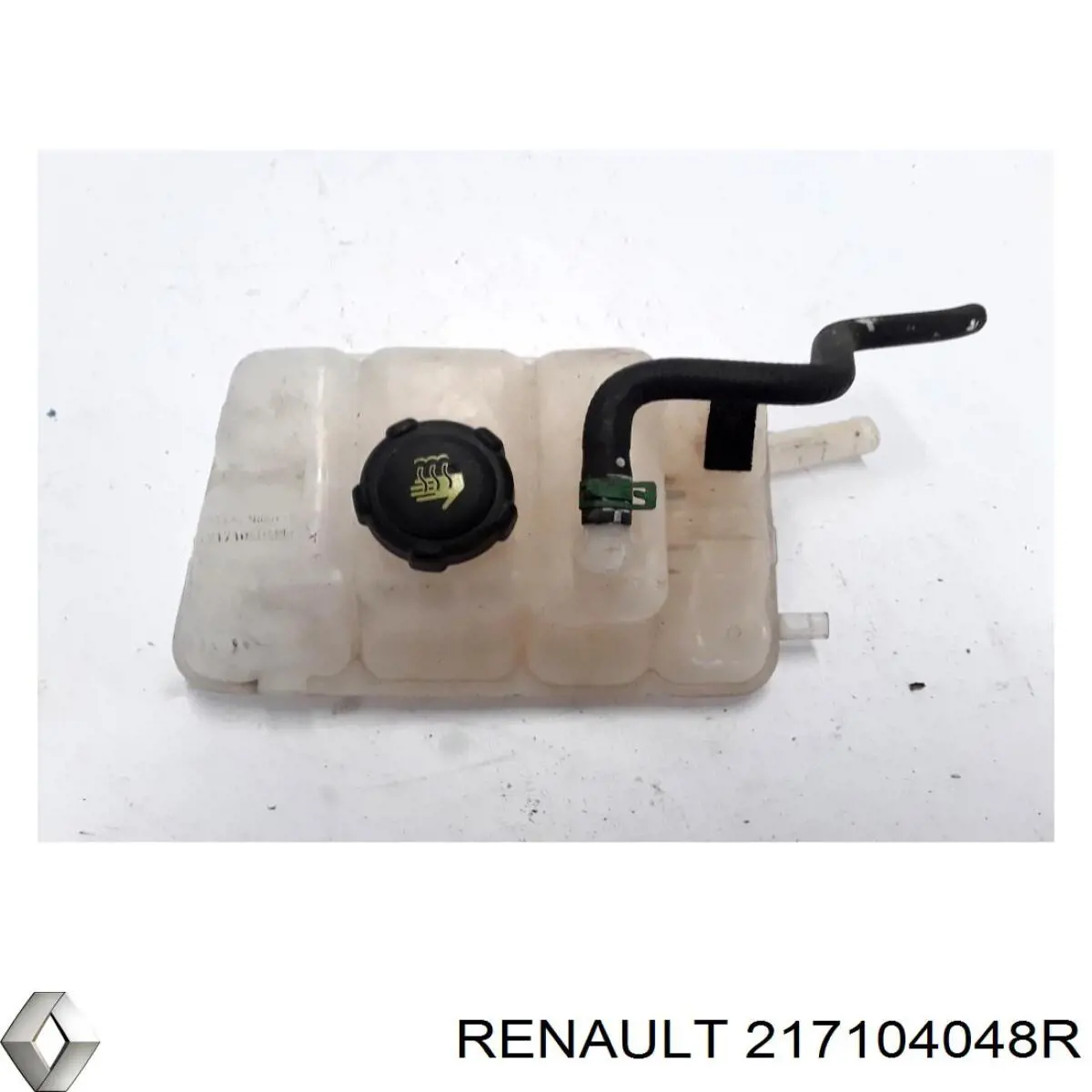 217104048R Renault (RVI) 