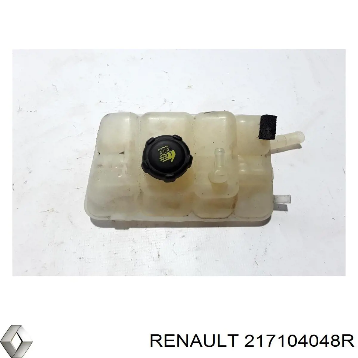 217104048R Renault (RVI)