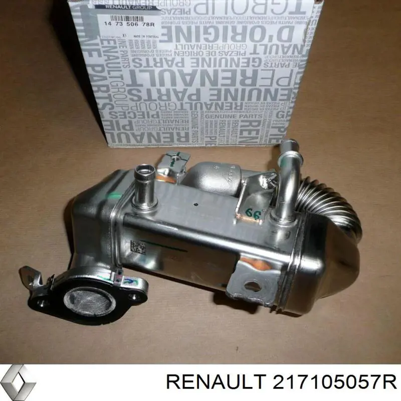 Botella expansion Renault (RVI) 217105057R precio, desde 76,93 EUR