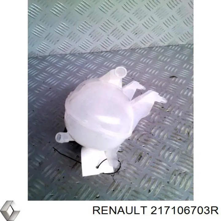 Botella expansion Renault Trafic 3 (EG)