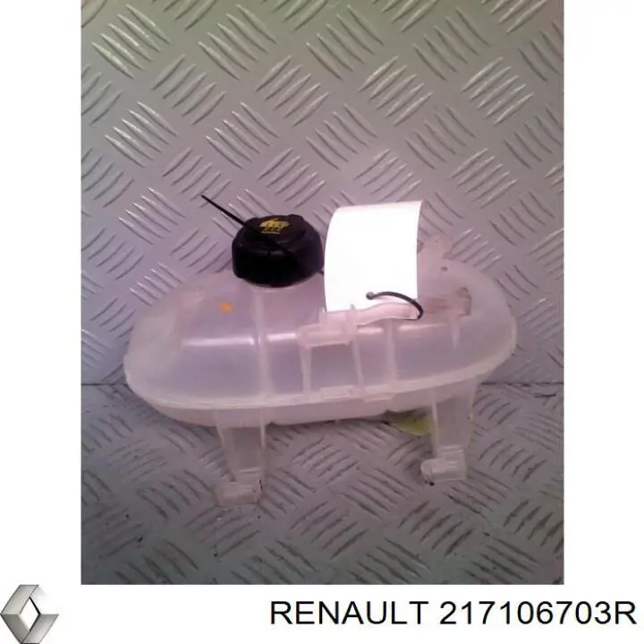 Botella expansion Renault (RVI) 217106703R precio, desde 29,42 EUR