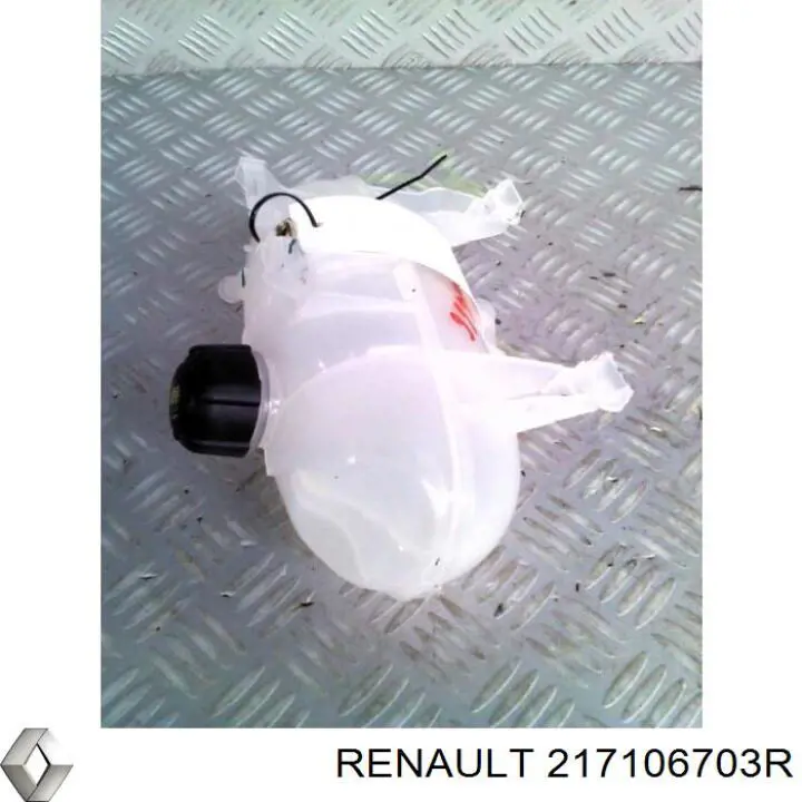 Comprar 217106703R Renault (RVI) Deposito expansion