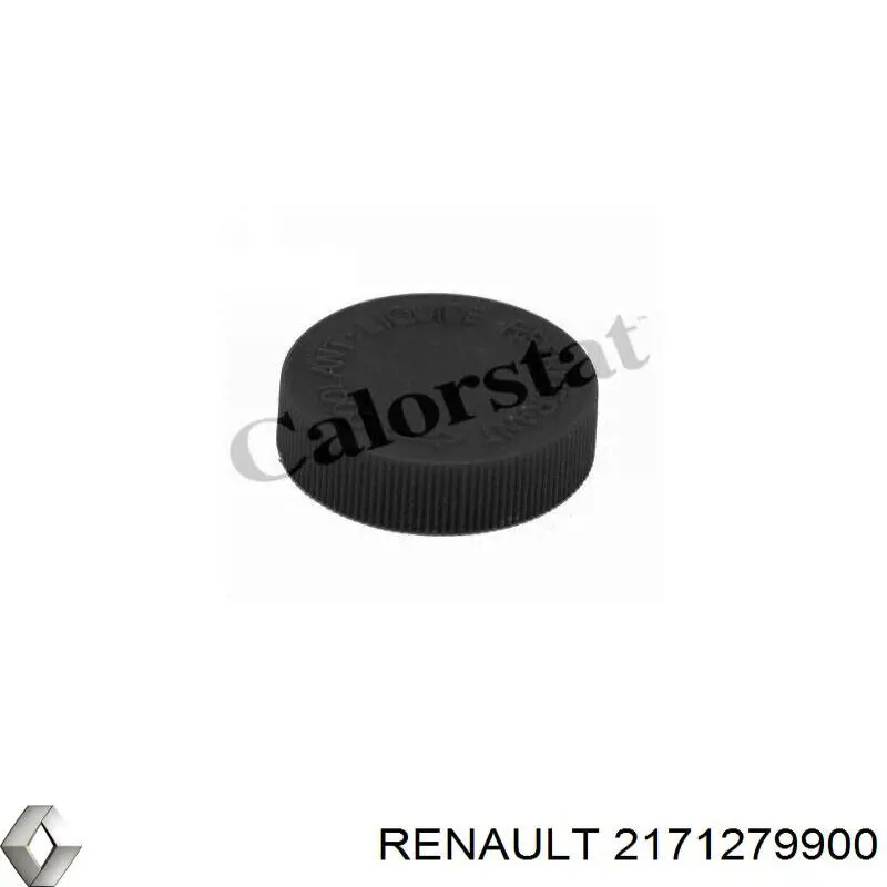 2171279900 Renault (RVI) tapón, depósito de refrigerante