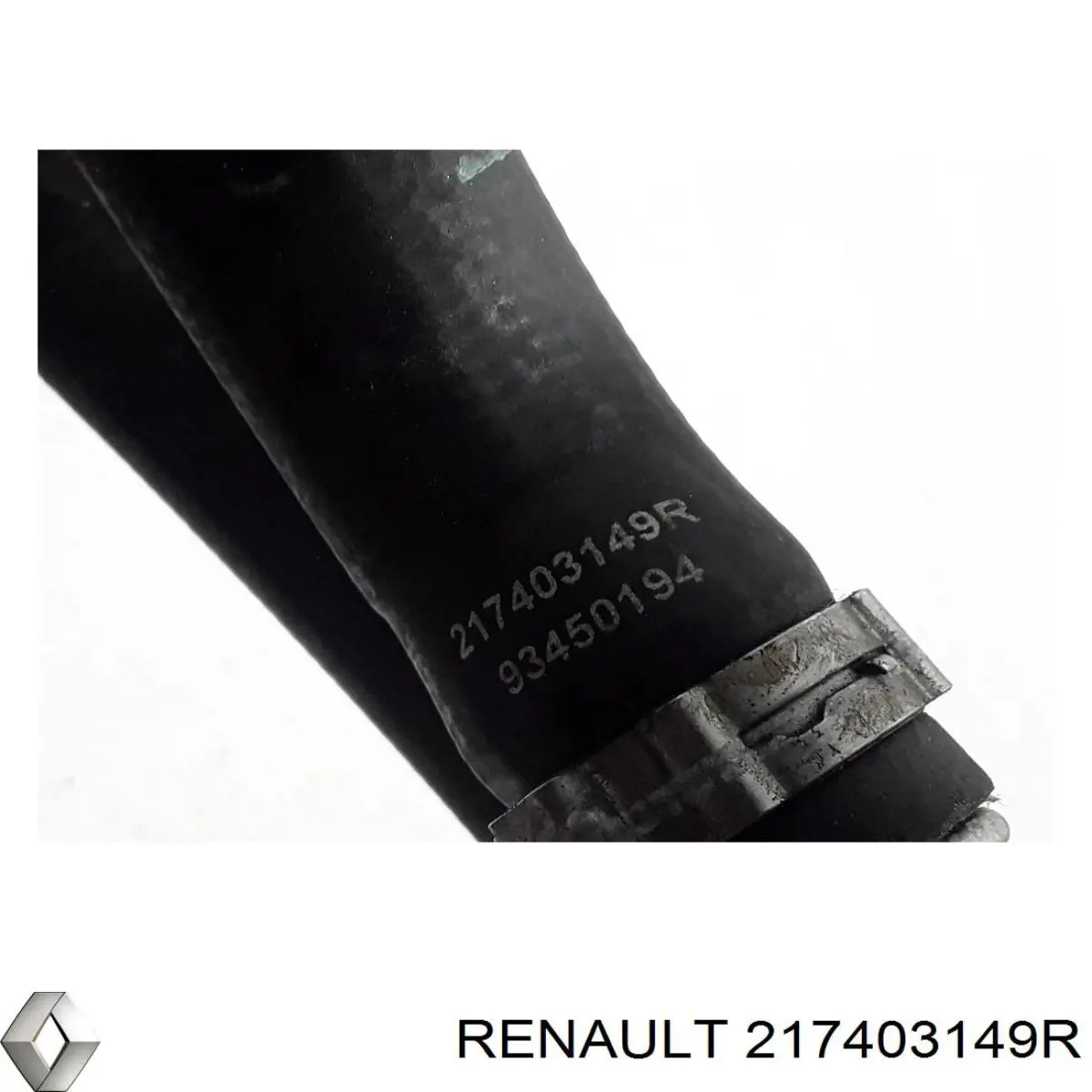 217403149R Renault (RVI)