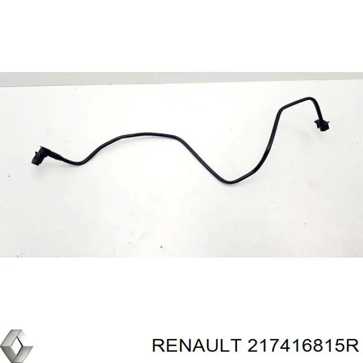 217416815R Renault (RVI)